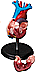 Human Heart Model