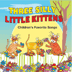 Three Silly Little Kittens CD